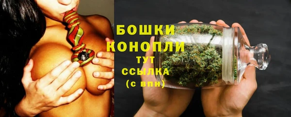ГАЛЛЮЦИНОГЕННЫЕ ГРИБЫ Козельск