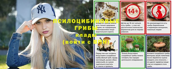 мет Козловка