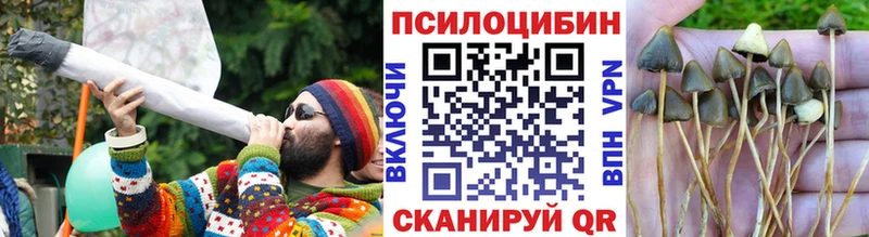 Псилоцибиновые грибы ЛСД Цоци-Юрт