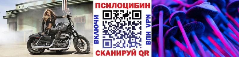 хочу   МЕГА онион  Псилоцибиновые грибы мухоморы  Цоци-Юрт 